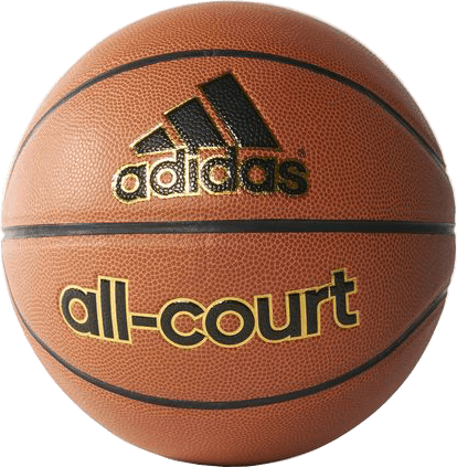 All-Court Basketball的图片
